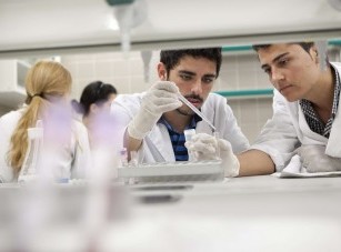 PRUEBAS DE PATERNIDAD INVESTIGACIÓN CIENTÍFICA
